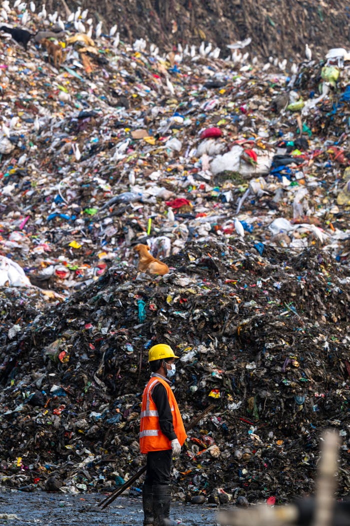 services-01 A worker in protective gear stands at a massive landfill site surrounded by waste and scavenging animals.